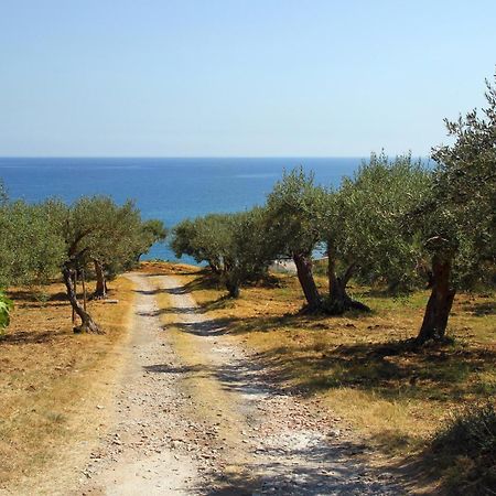 Tenuta Petreria سانتو ستيفانو دي كاماسترا المظهر الخارجي الصورة